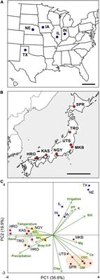 Plant Foraging Strategies Driven by Distinct Genetic Modules: Cross-Ecosystem Transcriptomics Approach